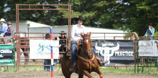 Everything Horses Camp is fun for all