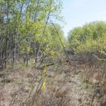 RCMP search Sakimay First Nation for clues into death