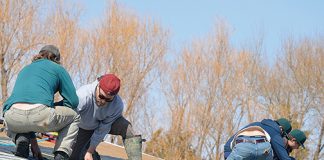 Ball diamonds to see further improvements