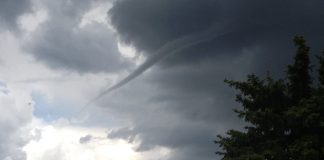 Chick speaking at JDRF event Feb. 8