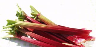 Rhubarb festival gets underway on June 22