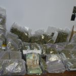 Drug Bust