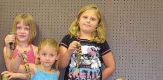 APPELL, Adolf (Luke)