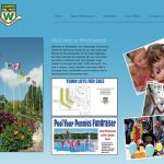 Town Website