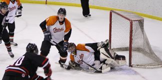 New players give Orioles’ team new look this year