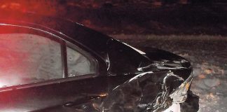 Semi driver arrested for crashing into police car