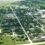 Whitewood