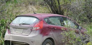 Car crashes into ravine
