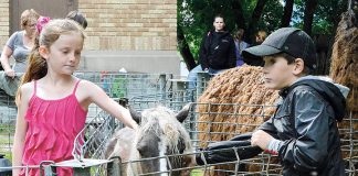 Ituna Fall Fair organizer pleased with new format