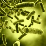 E-coli