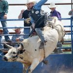 Rodeo – Delarue