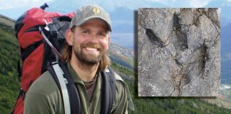 Discovery of dinosaur tracks by Whitewood native proves unknown facts