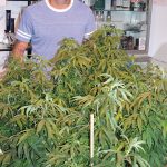 Marijuana Store