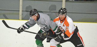 Orioles fall to Cougars 4-3 in O.T.