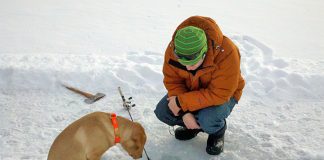 Fort Sea Cadets host and win Sask. bonspiel