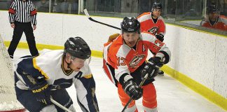 Orioles Prov. D run ends; tied in playoff series