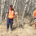 Rescue organization in search of volunteers