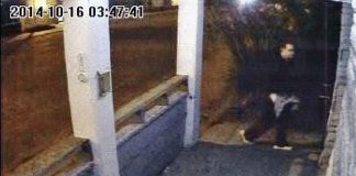 Knox sweep weekend games to stay ahead of Foxes