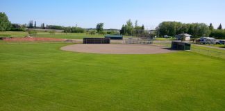 Upgrades to the ball diamonds continue