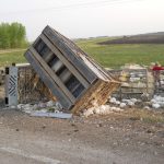 Chicken Semi Accident