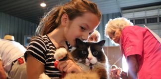 Sun shines on 108th Abernethy ag fair year