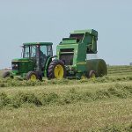 Haying yields well-below average in SE Sask.