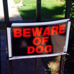 Beware of Dog