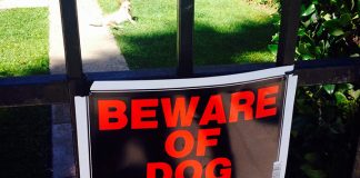Dog attack on family pet is a concern for resident