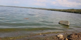 Student poses survey to understand Sask. lakes
