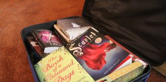 Resident inspired to make little replica of Big Roy