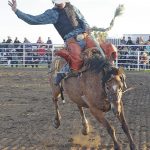 Rodeo – Bronc Rider