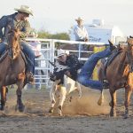Rodeo – Steer Wrestle