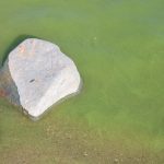 Sies ready for next golf challenge