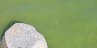 Sies ready for next golf challenge