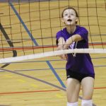 Volleyball