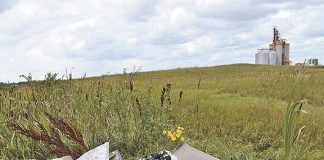 RM resident sick of illegal dumping