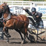 Melville Fair 1