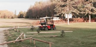 Vandalism and thefts hit town over five days