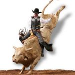 Rodeo Bull Rider