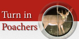 Weyburn man fined $5,000 for illegal hunting