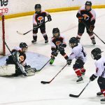 Novice Hockey
