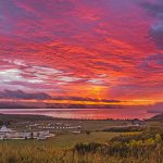 Photo Contest Winner