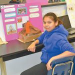 Science Fair – Volcano