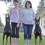Dog Showing – Kelsey and Char