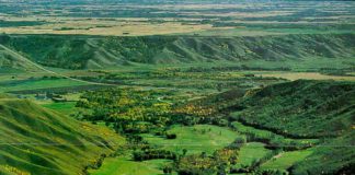 Last Oak Golf course re-opening again soon