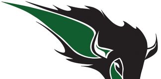 Bisons blanked in two starts