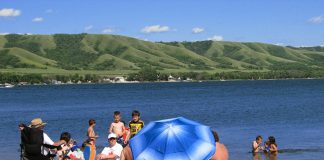 Kelly Bear is new mayor at Bird’s Point