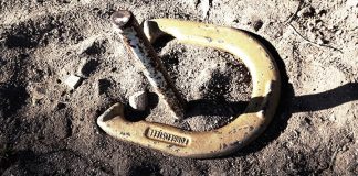 Whitewood wins bid for National Horseshoe Championships