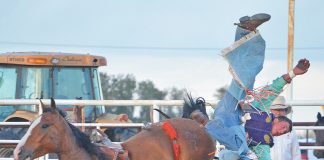 Rodeo sets record with crowd