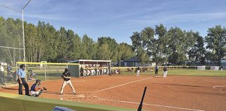 Project to see lights installed at ball park